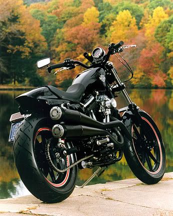 sportster-01.jpg