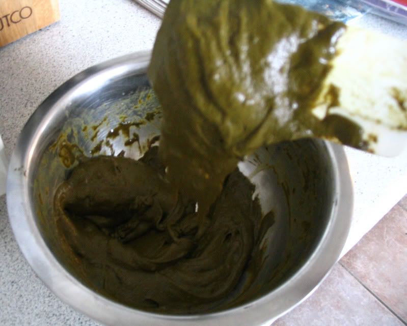 Freshly Mixed Henna Paste