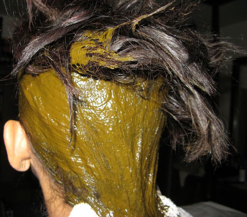 brown hair dyed tips. tinctoria) for rown hair: