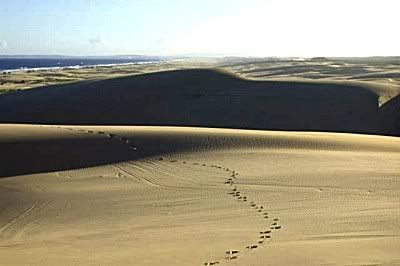 stockton_sand_dunes_3.jpg