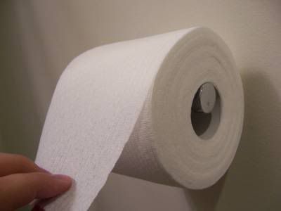 ToiletPaper.jpg