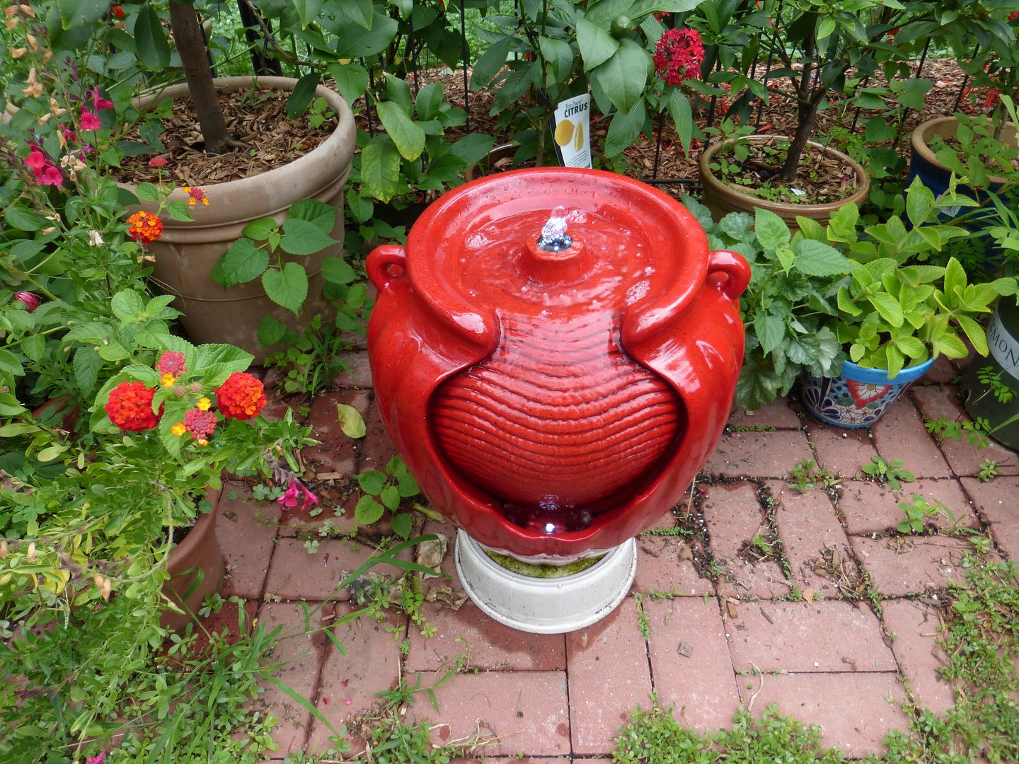 "BIRDBATH" on Pinterest Garden Fountains, Hummingbirds and Youtube