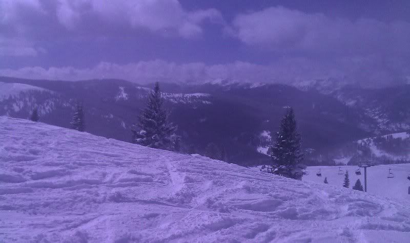 IMAG0043.jpg