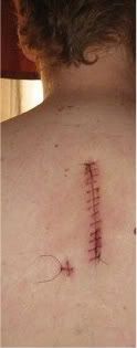 backstitches-1.jpg