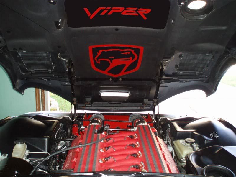 viper-engine2.jpg