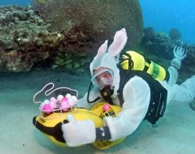 ScubaEasterBunny.jpg