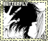 butterfly13