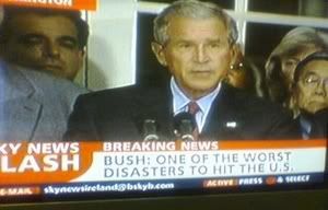 Bush.jpg