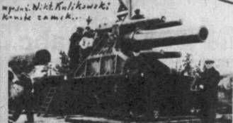 mozdzierz310mm.jpg