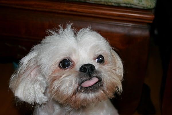 Image hosted by Photobucket.com