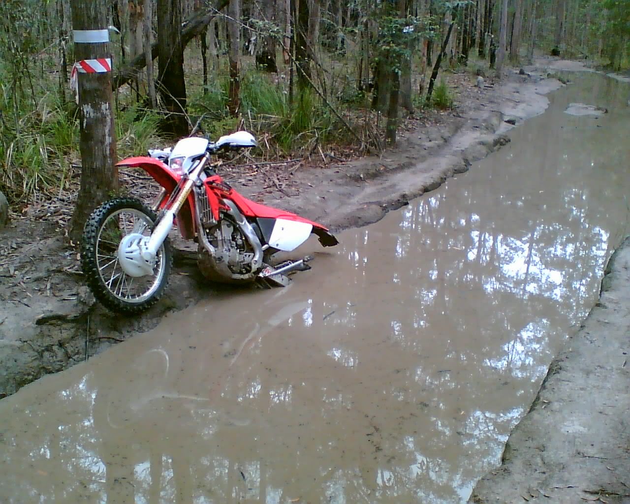 CRF stuck in water hole Dirt Bike Pictures & Video ThumperTalk