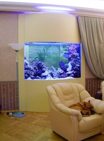 1232758172_aqua1b.jpg