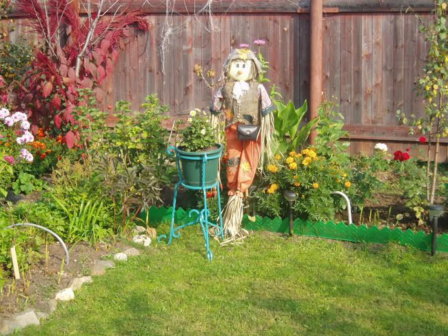 PA300078.jpg