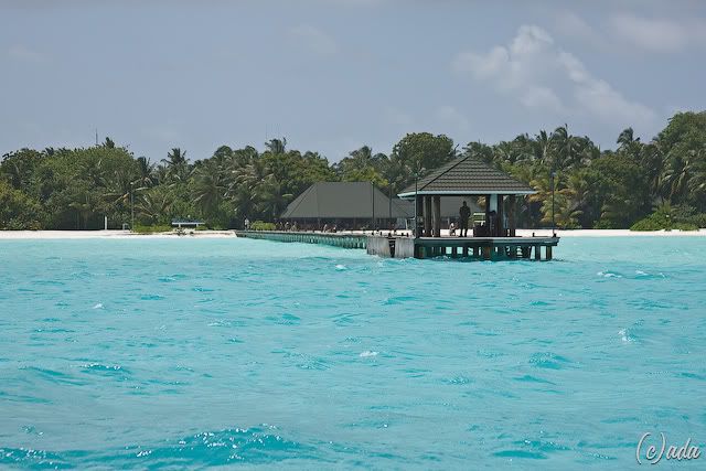 IMG_0048.jpg