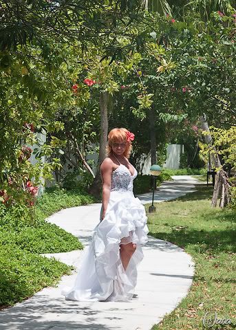 IMG_0478.jpg