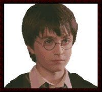 harry.jpg