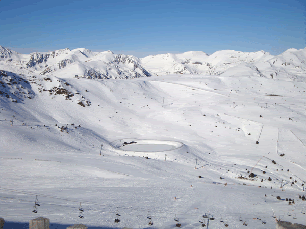 DSC00309.gif