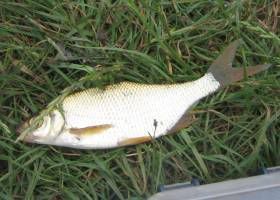 Photobucket - Video and Image Hosting