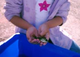 Photobucket - Video and Image Hosting