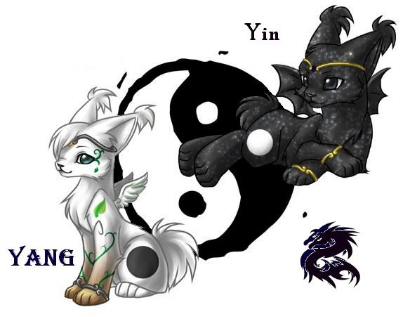 Ying ying essay   1069 words   studymode