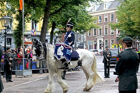 Prachtig paard tijdens Prinsjesdag