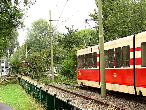 zomerstorm