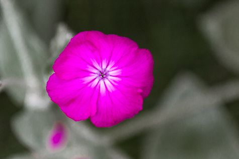 tuinupdate