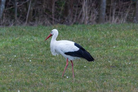 lente is officieel begonnen