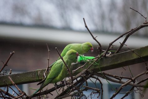 lente is officieel begonnen