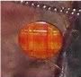 MHbuttonsoncoatHERO-1.jpg