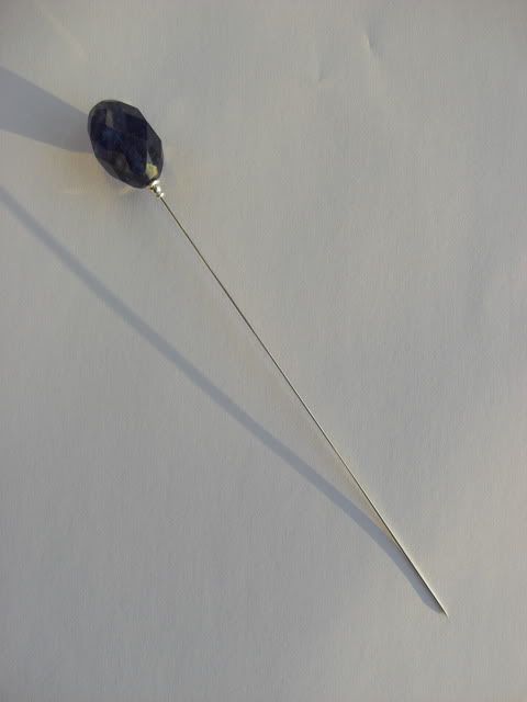 CIMG9595.jpg