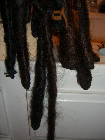 19Dreads02_resize.jpg