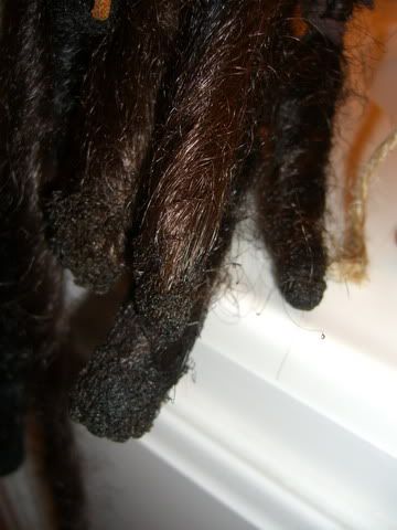 20Dreads03_resize.jpg