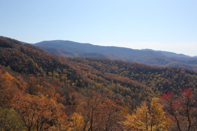 2011cherokeehunt147.jpg