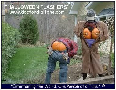 flashers.jpg