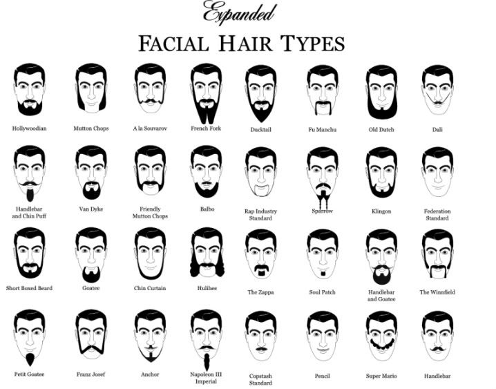 beard style chart