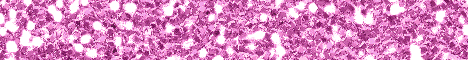 http://i23.photobucket.com/albums/b363/GZValVerde/Avatars/is-banner.gif