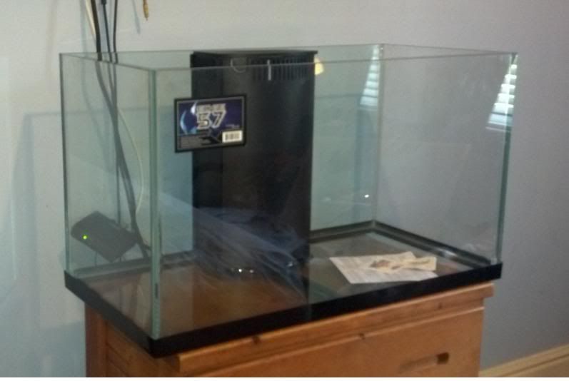Edge 57 Gallon Rimless Aquarium Build Reef Central Online Community