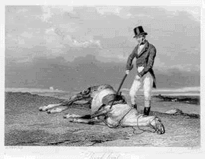 dead-horse_zpsd875e39e.gif