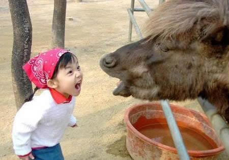donkey-girl.jpg