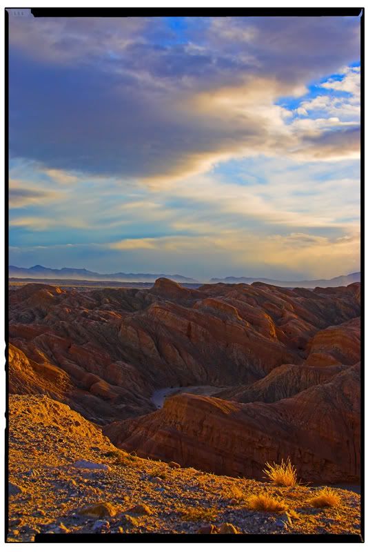 IMAGE: http://i23.photobucket.com/albums/b364/dietcookie/desertmed.jpg