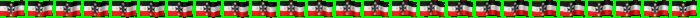 flag_ue2.bmp