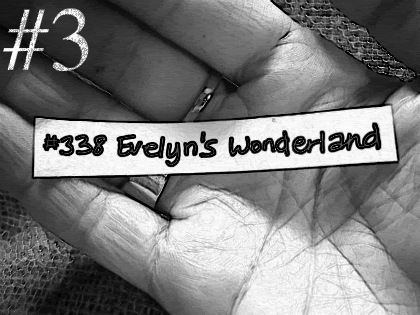 Visit Evelyn at her blog Evelyn's Wonderland