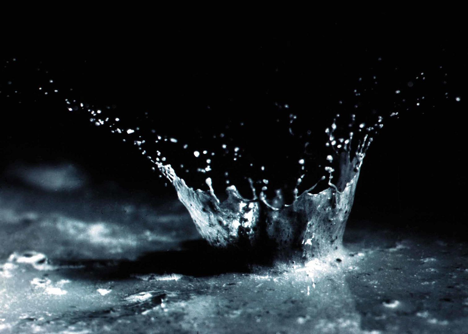 Water Droplet Pictures, Images and Photos
