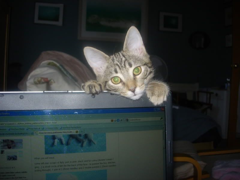 DSCN1626.jpg