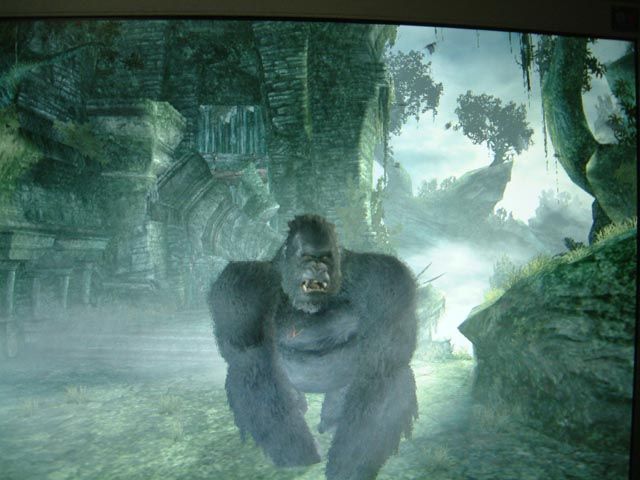 King Kong Pc Game Crack Downloads