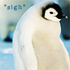 sigh penguino Pictures, Images and Photos