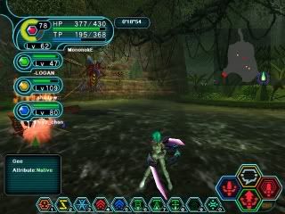 [Image: pso1125890959.jpg]