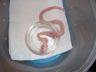 DSCF2120.jpg