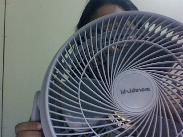 My Electric Fan